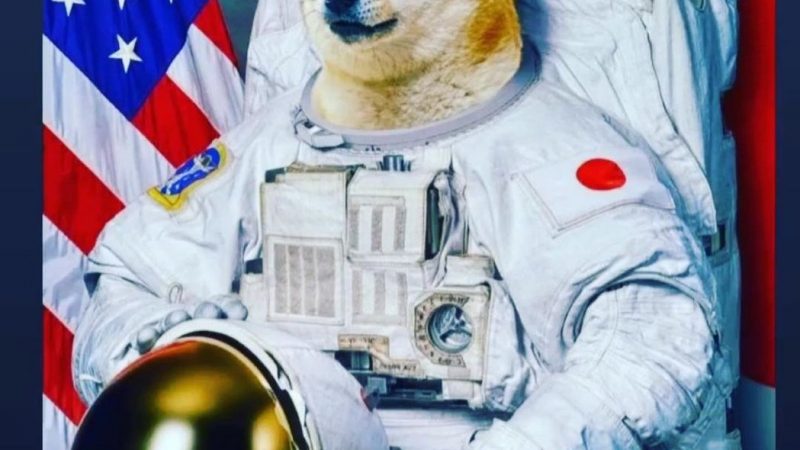 SpaceX laukaisee ’Doge-1”-lennon kuuhun