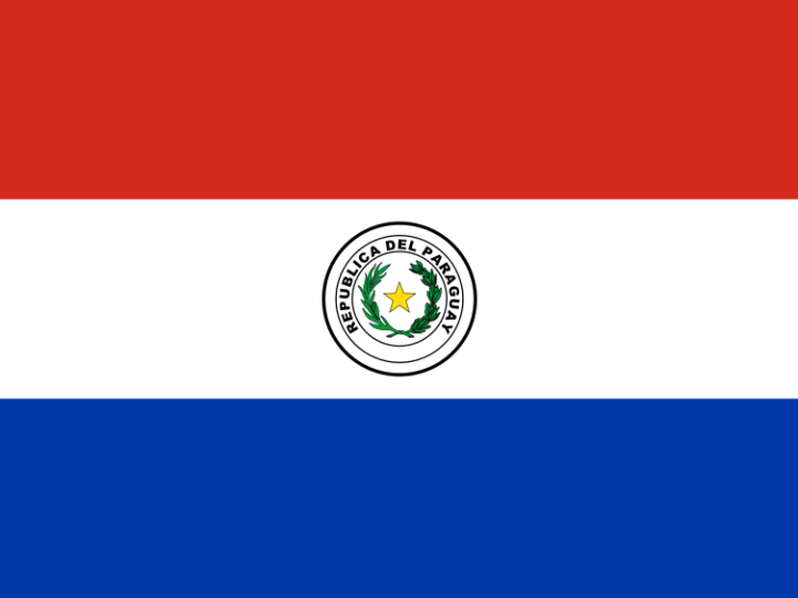 Paraguay laittoi kryptovaluuttoja koskevan lakimuutoksen jäihin