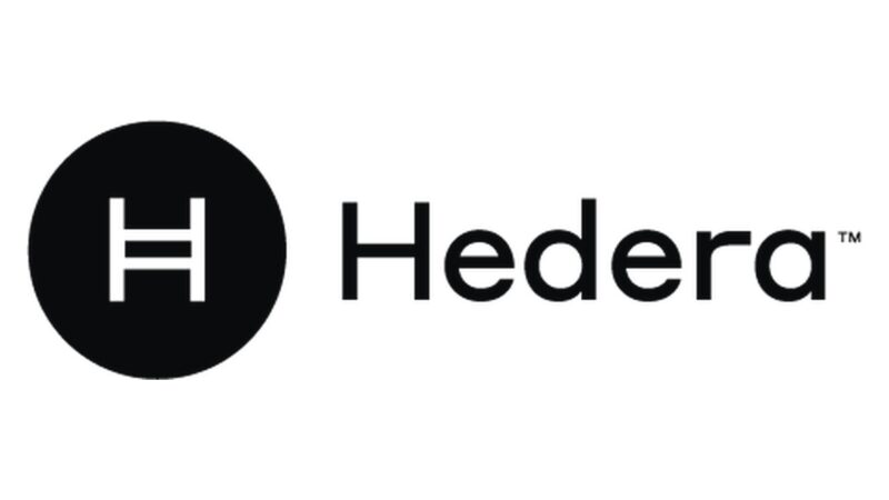 Mikä on Hedera (HBAR)? Kattava opas hashgraph-verkkoon
